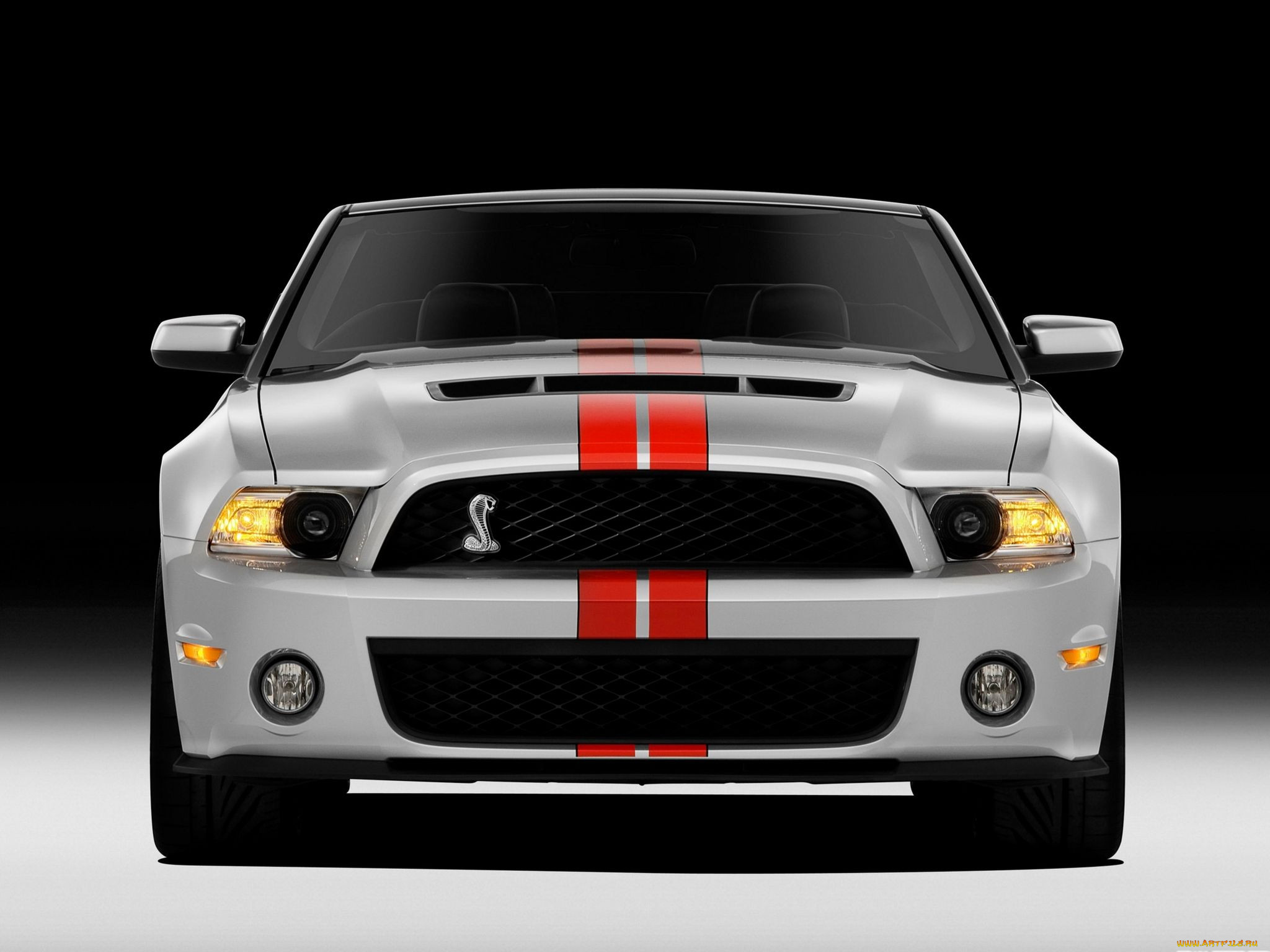 , mustang